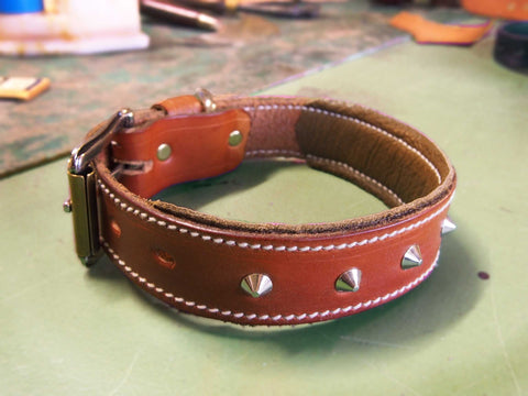 Studded Leather Dog Collars